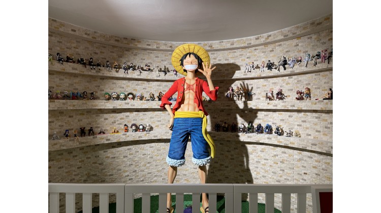 Müze Bileti Online Ödeme